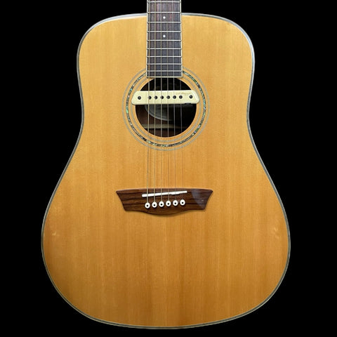 Washburn WCD18 Comfort Series Acoustic Guitar W/ L.R Baggs Acoustic Pickups