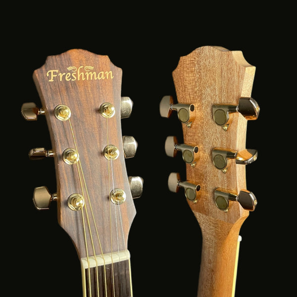 Freshman FA1DN Dreadnought Acoustic Guitar in Natural