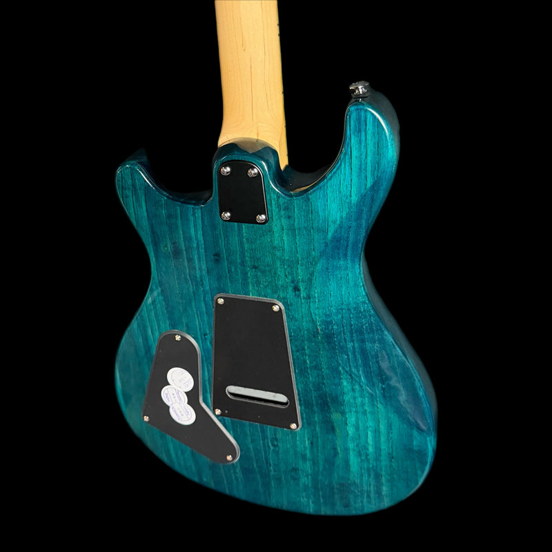 PRS SE Swamp Ash Special in Iri Blue