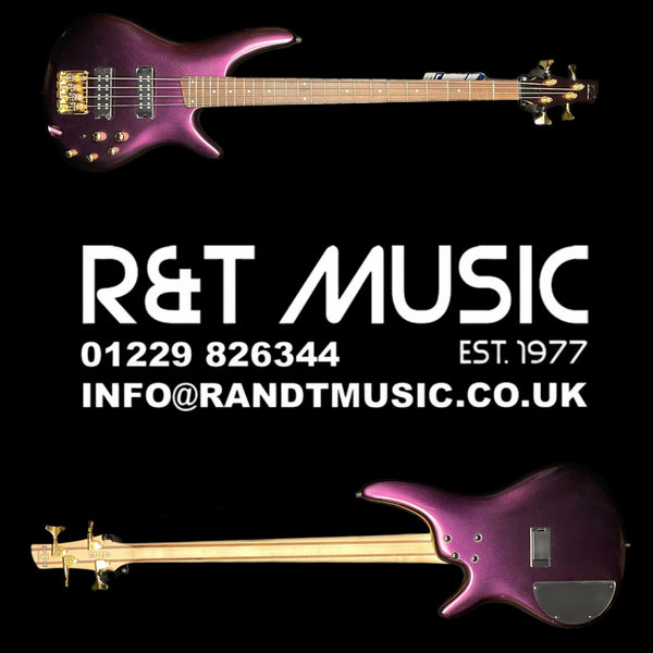 Ibanez SR300 EDX RGC 4 String Bass