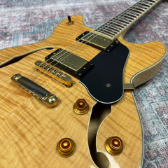 Washburn HB35 Hollowbody Electric Guitar in Natural