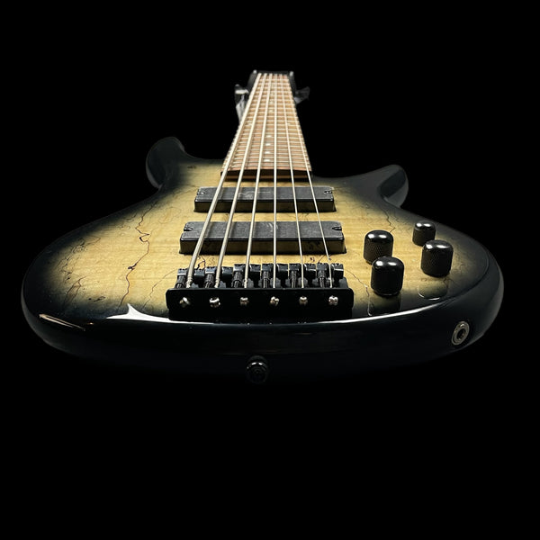 Ibanez GSR206SM 6 String Bass in Natural Grey Burst