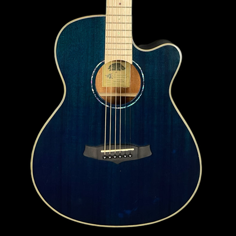 Tanglewood Winterleaf TW4CEBLA Electro-acoustic Guitar