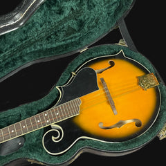 Richwood 8 string Mandolin w/ Case