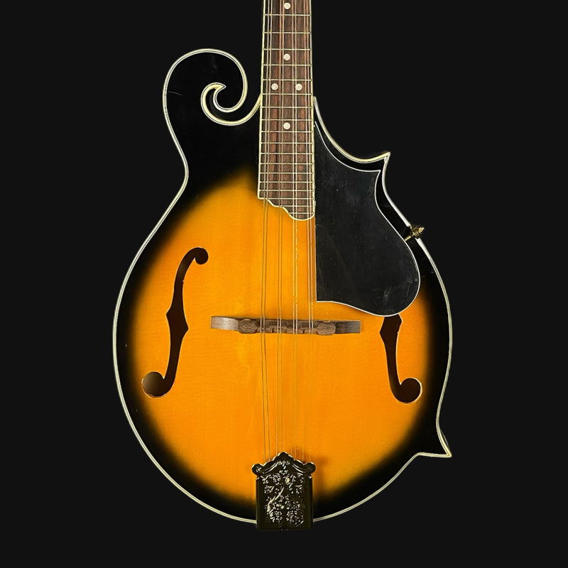 Richwood 8 string Mandolin w/ Case