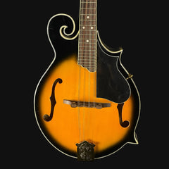 Richwood 8 string Mandolin w/ Case