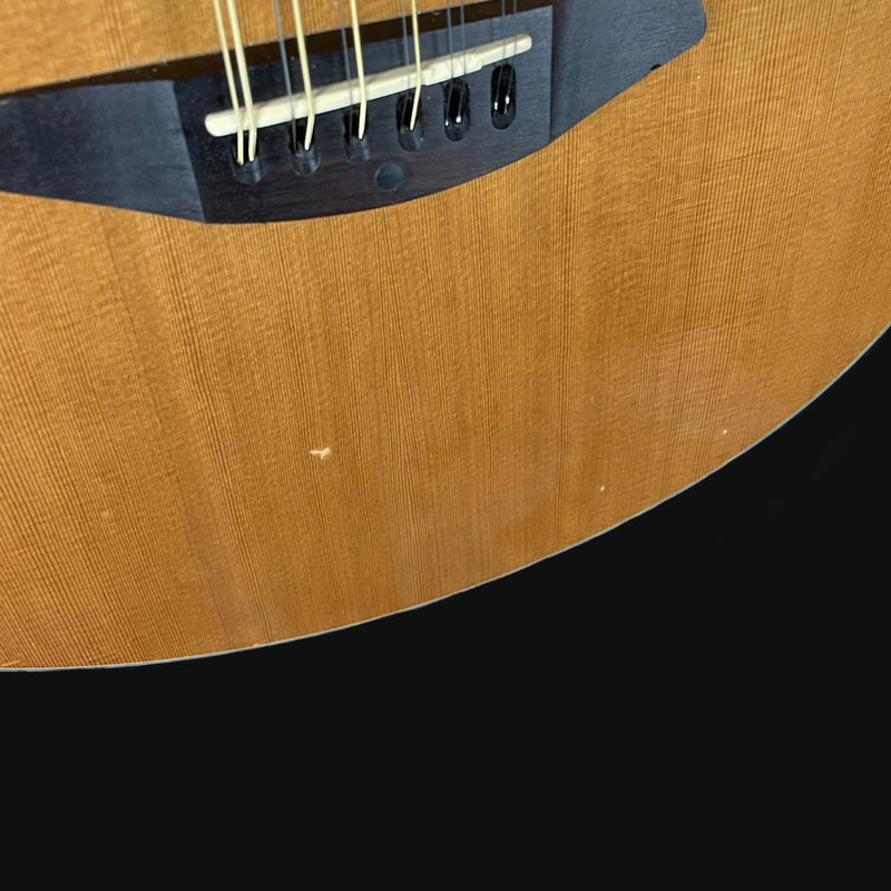 Breedlove Solo Concert CE 12-String Cedar Top Electro-Acoustic Guitar In Natural W/ Gig Bag