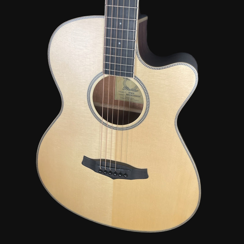 Tanglewood Premier Super Folk Acoustic Guitar