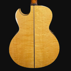 Washburn 1985 Monterey Thin Body Electro Acoustic MIJ