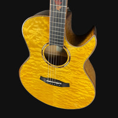 Acoustic guitar with a yellow tortoiseshell finish on a black background