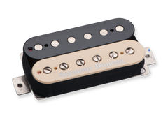 JASON BECKER BRIDGE ZEBRA