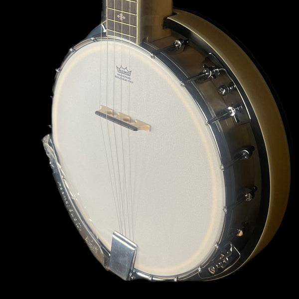 Tanglewood TWB 18 M5 Banjo