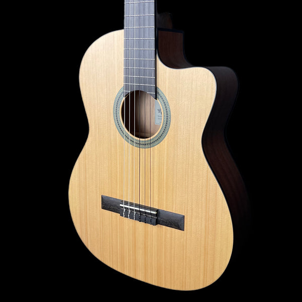 Tanglewood Winterleaf Classical TWCE 2