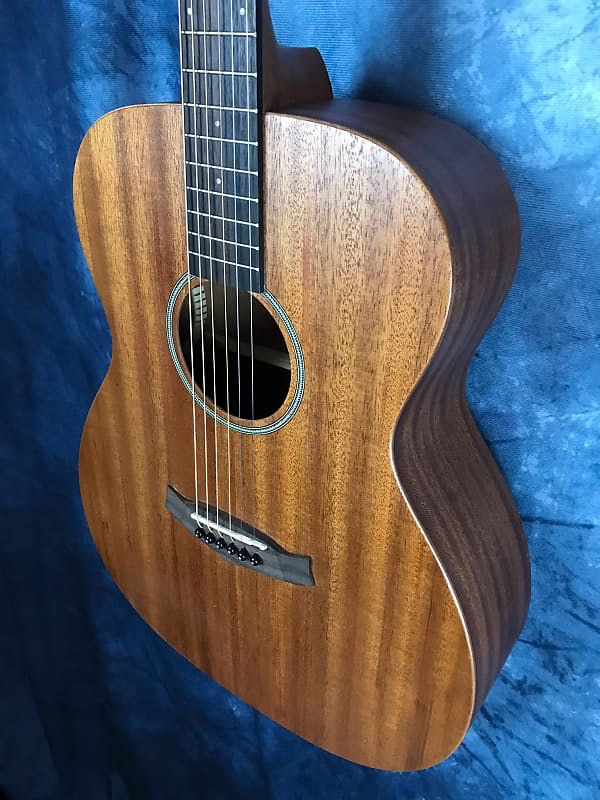 Tanglewood TW2E Winterleaf Electro Acoustic Guitar