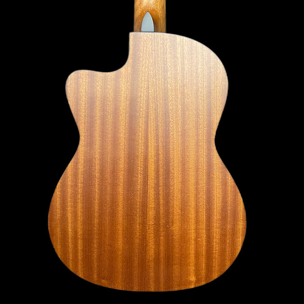 Tanglewood Winterleaf Classical TWCE 2
